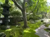 報国寺の{uncategorized: "未分類", other: "その他", undefined: "問題あり", building: "その他建物", grave: "お墓", sacred_gate: "鳥居", guardian: "狛犬", statue: "像", buddha: "仏像", history: "歴史", nature: "自然", garden: "庭園", animal: "動物", pagoda: "塔", temizu: "手水舎", mountain_gate: "山門・神門", sanctuary: "本殿・本堂", subordinate: "末社・摂社", art: "芸術", scenery: "景色", jizo: "地蔵", ema: "絵馬", goshuin: "御朱印", omikuji: "おみくじ", items: "授与品その他", amulet: "お守り", goshuincho: "御朱印帳", eats: "食事", festival: "お祭り", votive_dance: "神楽", shichigosan: "七五三参", wedding: "結婚式", experience: "体験その他", initially: "初詣", around: "周辺", anti_infection: "感染症対策"}