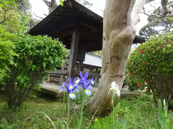龍雲寺のその他建物