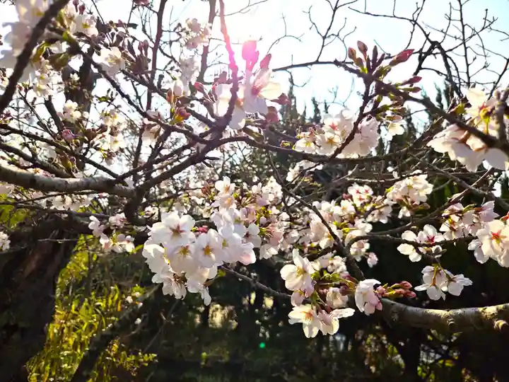 出雲大社倉敷教会(岡山県)