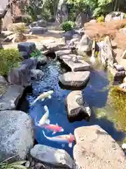 永平寺別院長谷寺の庭園