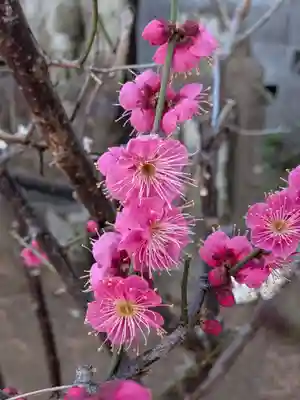 田端神社(東京都)