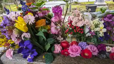 勝林寺(京都府)