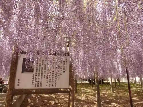 長泉寺の景色