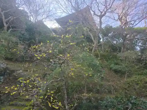 當麻寺 護念院(奈良県)