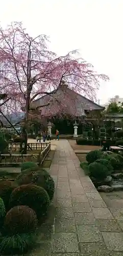 金剛寺(東京都)