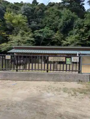 鳥取東照宮（旧樗谿神社）(鳥取県)