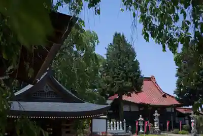 崇真寺(開運犬り切不動尊)(栃木県)