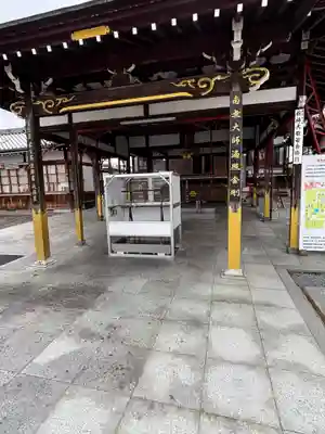 乙津寺　（鏡島弘法）(岐阜県)