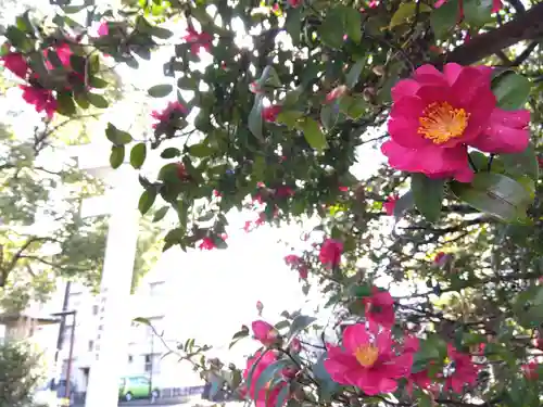 福井県護国神社(福井県)