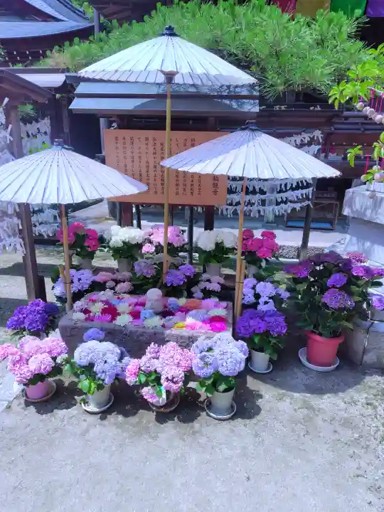 岡寺(龍蓋寺)(奈良県)