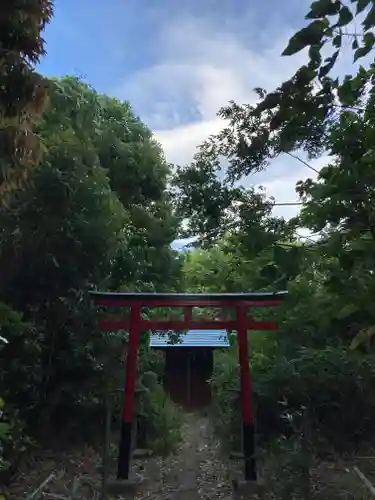 稲荷神社(埼玉県)