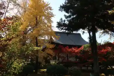 廣隆寺(京都府)