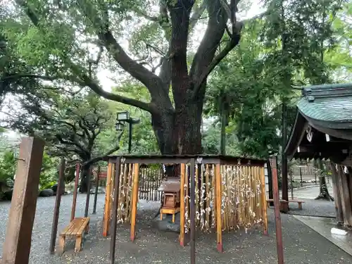 平塚八幡宮(神奈川県)