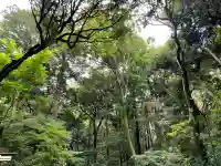 明治神宮(東京都)