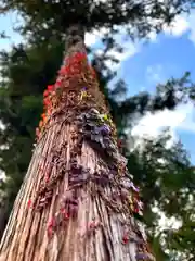 古町豊受大神宮(長野県)