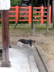 住吉大社の動物