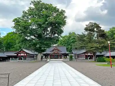 北海道護國神社の本殿・本堂