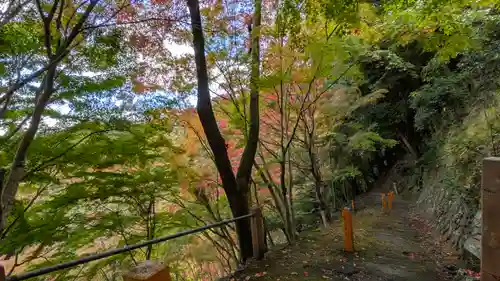 善峯寺(京都府)