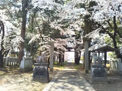 松尾神社の建物その他