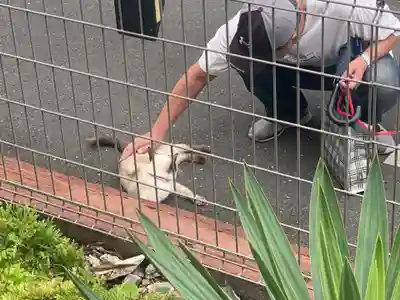 宣隆寺(三重県)