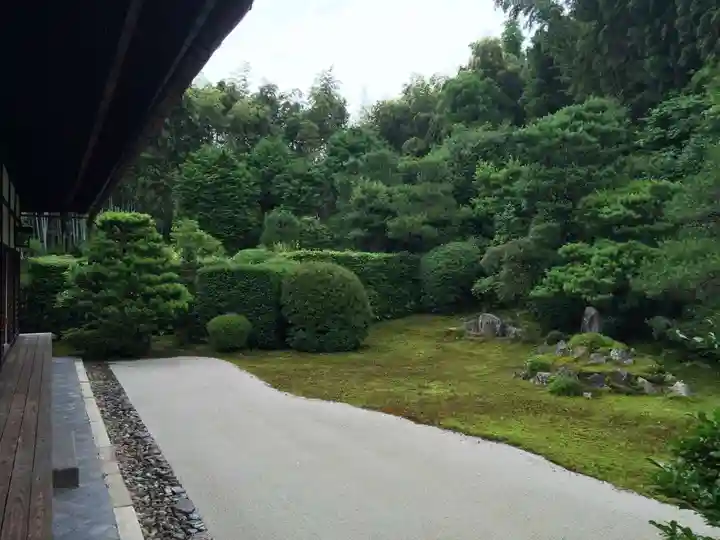 芬陀院の庭園