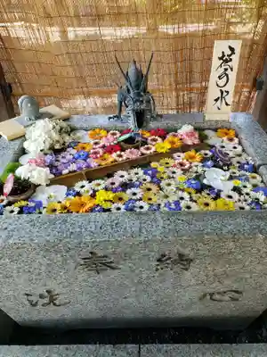 札幌諏訪神社の手水舎