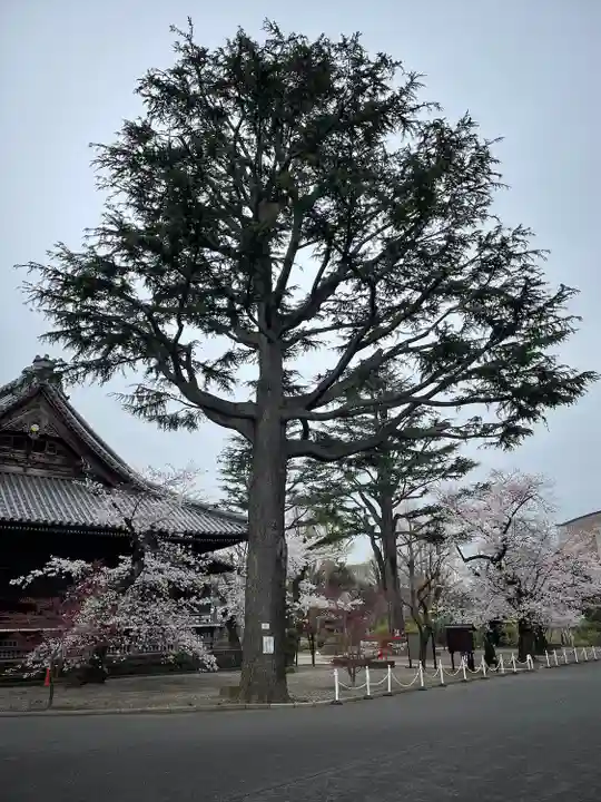 寛永寺(根本中堂)(東京都)