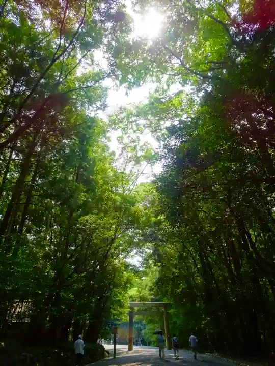 伊勢神宮内宮(皇大神宮)の自然