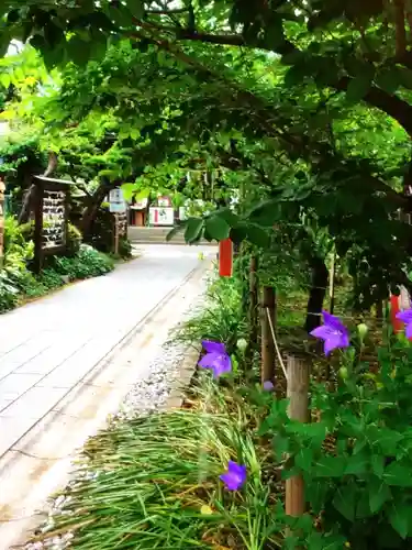 鳩森八幡神社の庭園