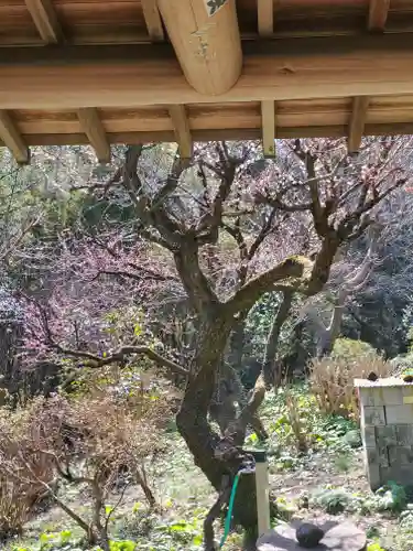 岩之上堂の自然