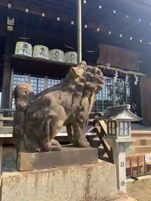 京都乃木神社の狛犬