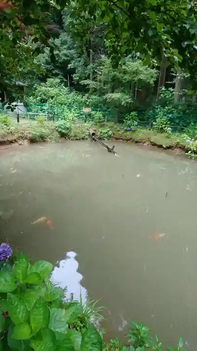 観音寺のその他建物