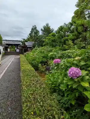 東林院(京都府)