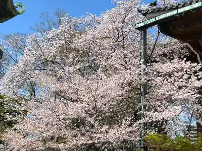 真宗大谷派名古屋別院(愛知県)