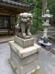 最乗寺（道了尊）の狛犬