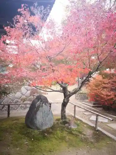 天然寺の庭園