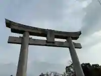 中津神社の{uncategorized: "未分類", other: "その他", undefined: "問題あり", building: "その他建物", grave: "お墓", sacred_gate: "鳥居", guardian: "狛犬", statue: "像", buddha: "仏像", history: "歴史", nature: "自然", garden: "庭園", animal: "動物", pagoda: "塔", temizu: "手水舎", mountain_gate: "山門・神門", sanctuary: "本殿・本堂", subordinate: "末社・摂社", art: "芸術", scenery: "景色", jizo: "地蔵", ema: "絵馬", goshuin: "御朱印", omikuji: "おみくじ", items: "授与品その他", amulet: "お守り", goshuincho: "御朱印帳", eats: "食事", festival: "お祭り", votive_dance: "神楽", shichigosan: "七五三参", wedding: "結婚式", experience: "体験その他", initially: "初詣", around: "周辺", anti_infection: "感染症対策"}