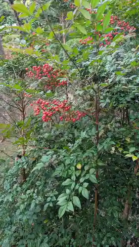 酒門神社(茨城県)