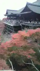 清水寺の景色