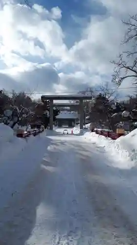 札幌護國神社の鳥居