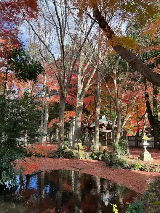 高岩神社の自然