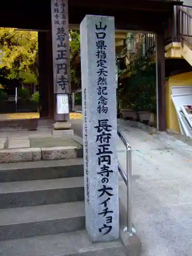 正円寺(山口県)