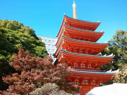 東長寺の塔