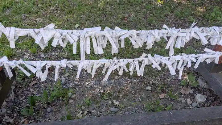 大樹神社のおみくじ
