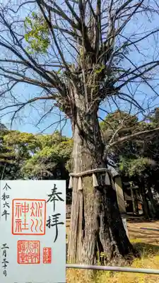 通年御朱印(赤坂氷川神社)