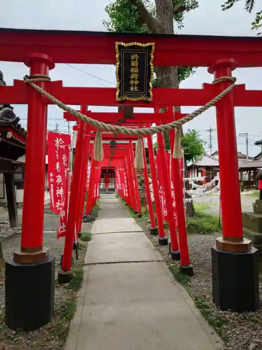 於菊稲荷神社(群馬県)