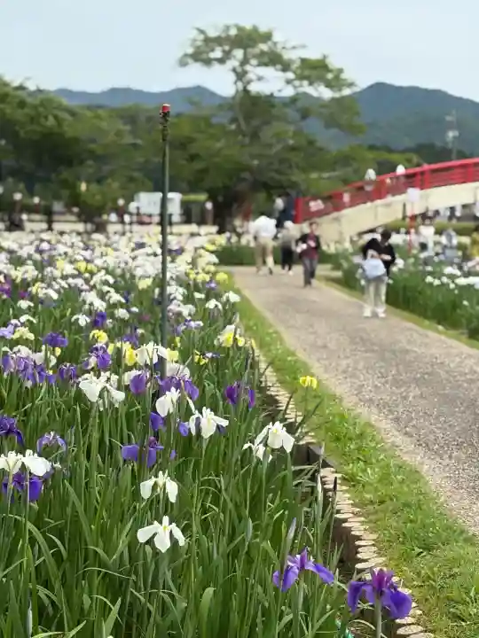 賀茂神社(愛知県)
