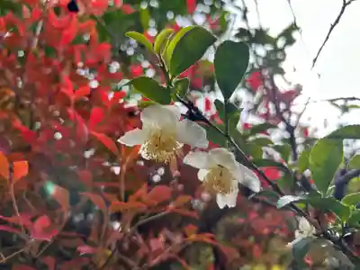 鏡石鹿嶋神社 ＊安産・開運・勝利の神さま＊(福島県)