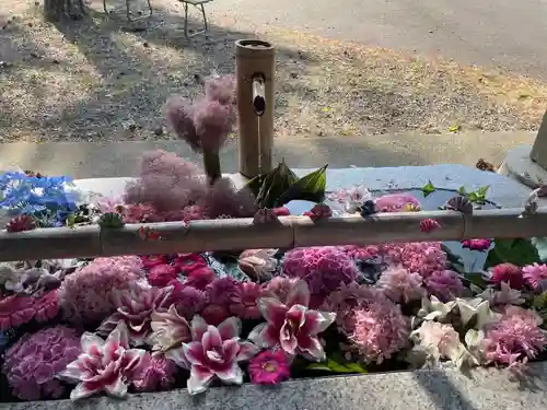 札幌伏見稲荷神社(北海道)