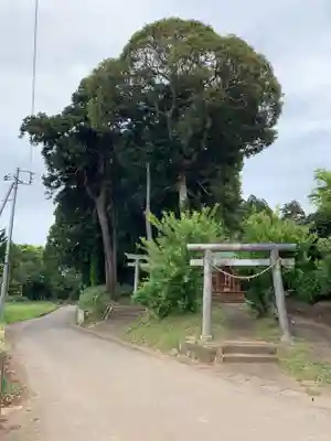 側鷹稲荷大明神(千葉県)
